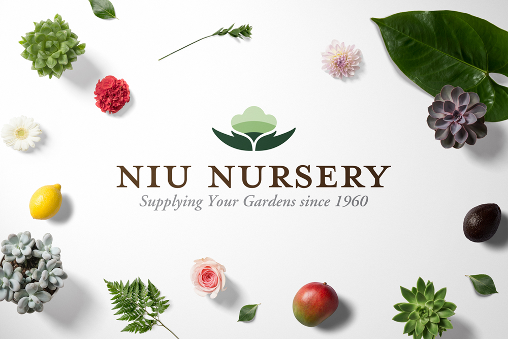 Niu nursery